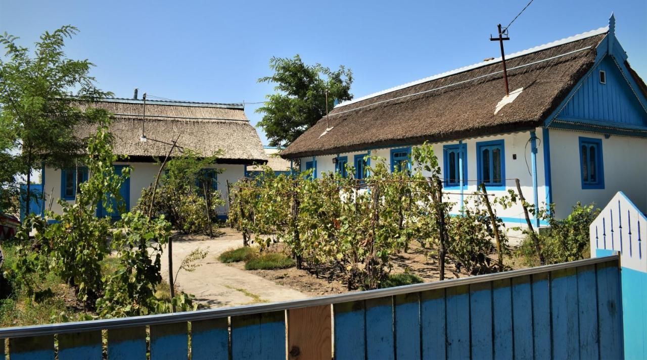 Casa Calin Hotel Crișan Eksteriør billede