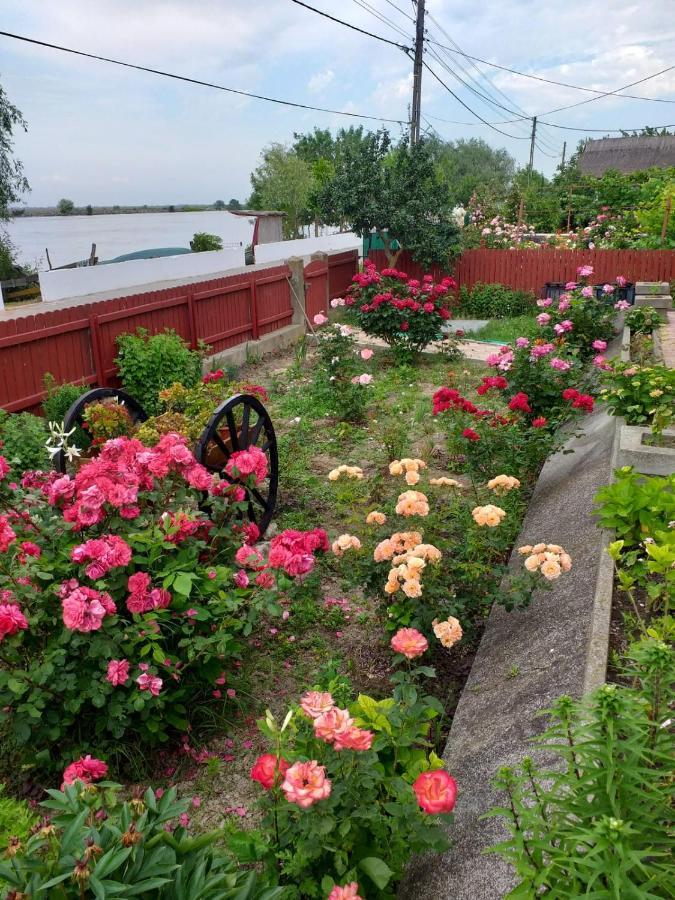 Casa Calin Hotel Crișan Eksteriør billede